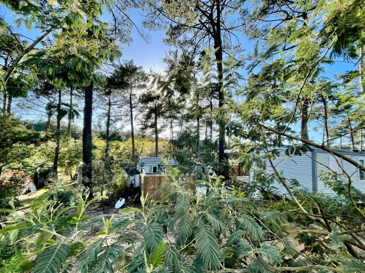 Tiny House Famille Nature Cap Ferret Claouey 外观 照片