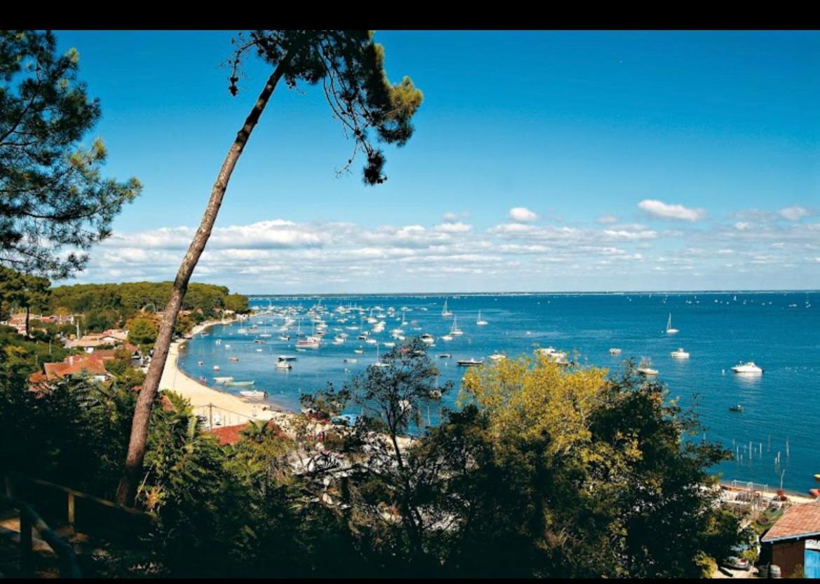 Tiny House Famille Nature Cap Ferret Claouey 外观 照片