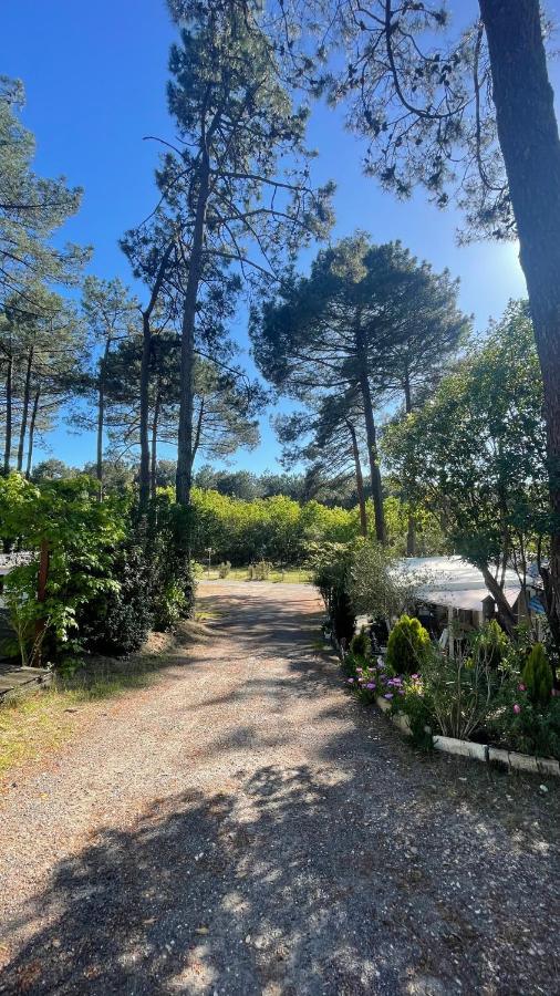 Tiny House Famille Nature Cap Ferret Claouey 外观 照片